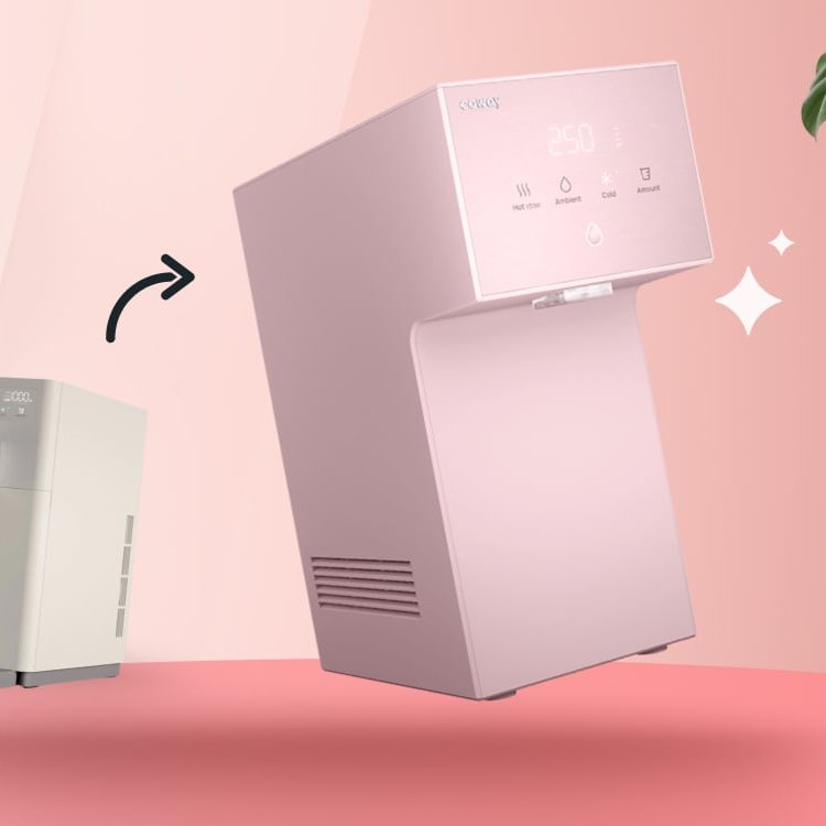 Recare Promotion